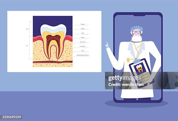 doctors explain dental structure knowledge, remote teaching, and medical care on mobile phone screens - periodontal disease stock illustrations