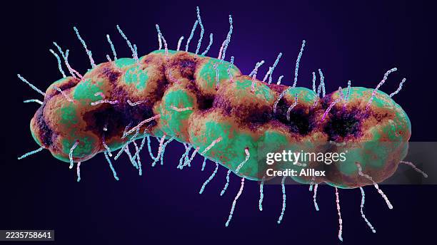 mikroskopische ansicht von lebendigen bakterien in einem hochauflösenden 3d-rendering - antibiotikaresistent stock-fotos und bilder