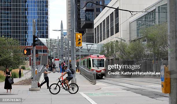 traffic on 7th avenue sw, downtown calgary, canada - pedestrian crosswalk stock pictures, royalty-free photos & images