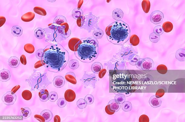 gene therapy for acute myeloid leukemia, conceptual illustration - bone marrow stem cell stock illustrations