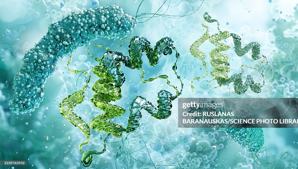 Genetically modified bacteria producing insulin, conceptual illustration