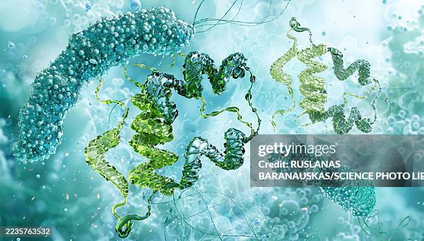 genetically modified bacteria producing insulin, conceptual illustration - metabolism stock illustrations