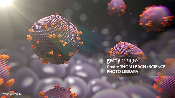 measles virus particles, illustration - measles stock illustrations