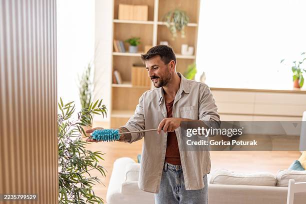 man cleaning houseplant leaves with feather duster in living room - man dusting stock pictures, royalty-free photos & images