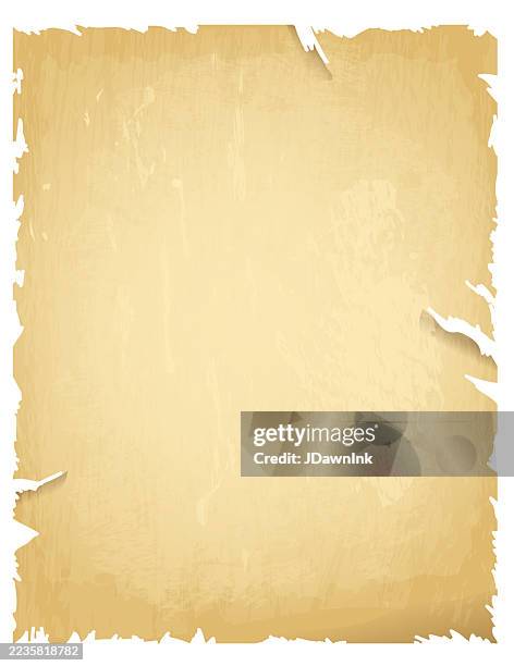 old fashioned blank textured scroll paper with copy space on white background - scroll texture stock illustrations