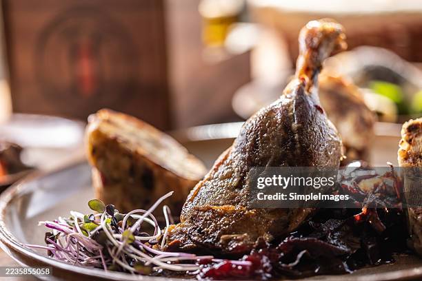 goose or duck leg with stewed red cabbage, karlovy vary dumplings and draft beer. - goose meat stock pictures, royalty-free photos & images