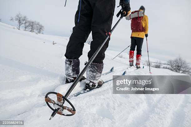 close-up of ski pole used by skier for doing cross-country skiing on snow covered land - esqui e snowboard imagens e fotografias de stock