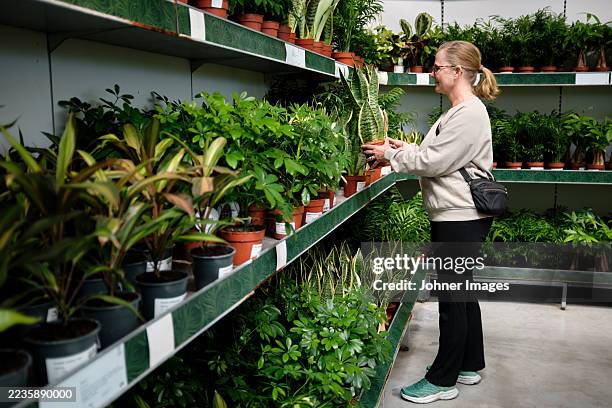 side view of woman buying plants at nursery - tuincentrum stockfoto's en -beelden