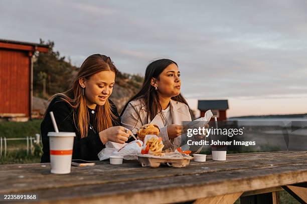 female friends enjoying burger and drinks while sitting at picnic table - fast food stock pictures, royalty-free photos & images