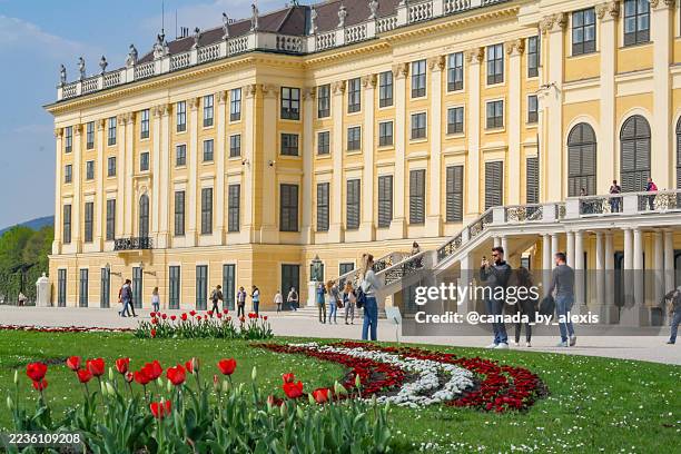schönbrunn palace 8 - vienna state opera stock pictures, royalty-free photos & images