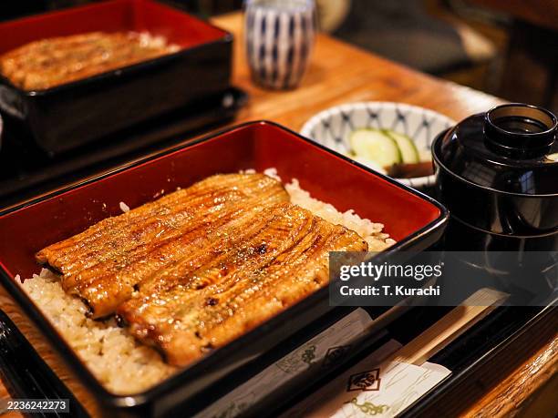 unaju - freshwater eel stock pictures, royalty-free photos & images
