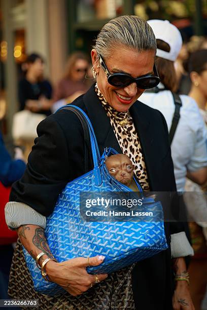 Guest wearing Celine sunglasses, black jacket, leopard top and her chihuahua dog inside of Goyard bag outside Bora Aksu during London Fashion Week on...