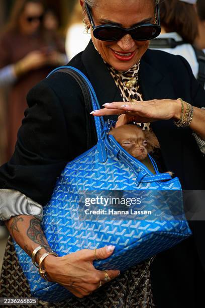 Guest wearing Celine sunglasses, black jacket, leopard top and her chihuahua dog inside of Goyard bag outside Bora Aksu during London Fashion Week on...