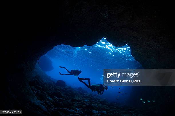 scuba diving in fernando de noronha - brazil - uitzichtpunt stockfoto's en -beelden