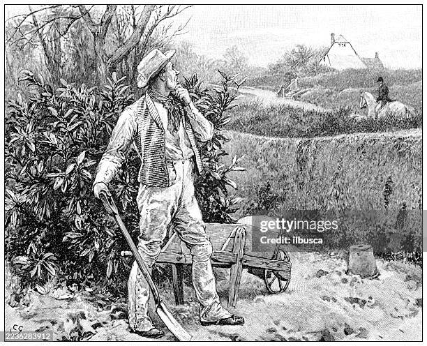 gardening - man doing yard work stock illustrations