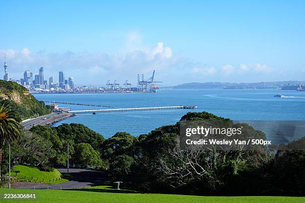 panoramic view of auckland city skyline and harbor with lush green foreground under a clear blue sky - auckland harbour stock pictures, royalty-free photos & images