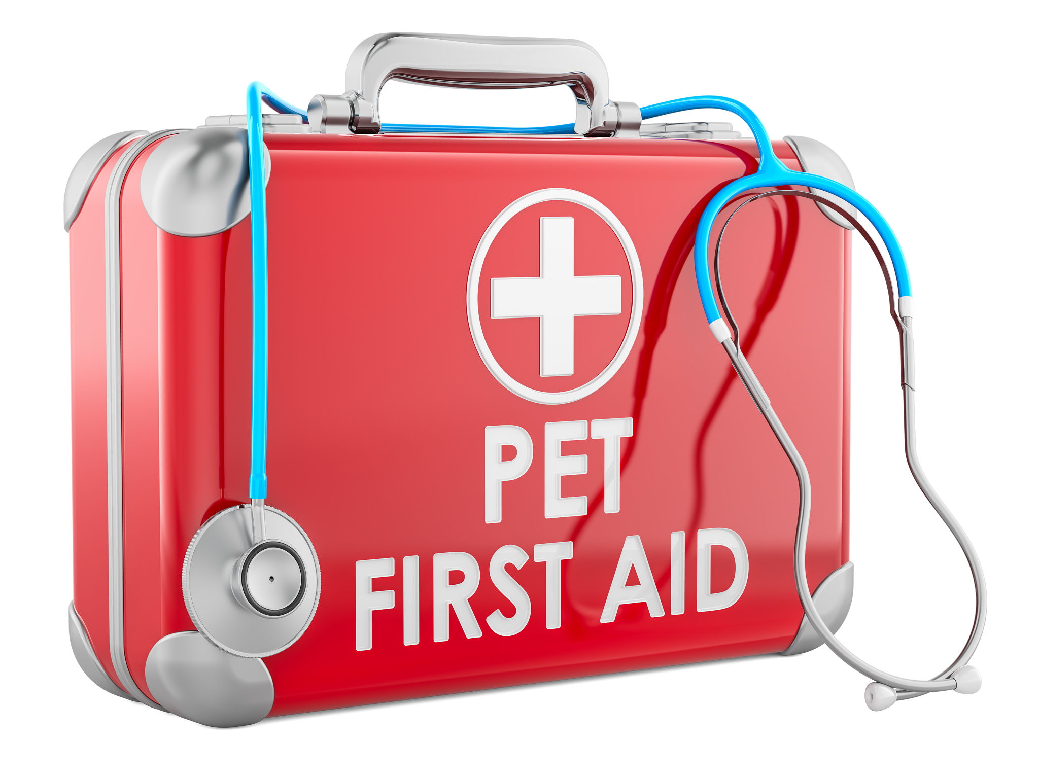 pets emergency supplies