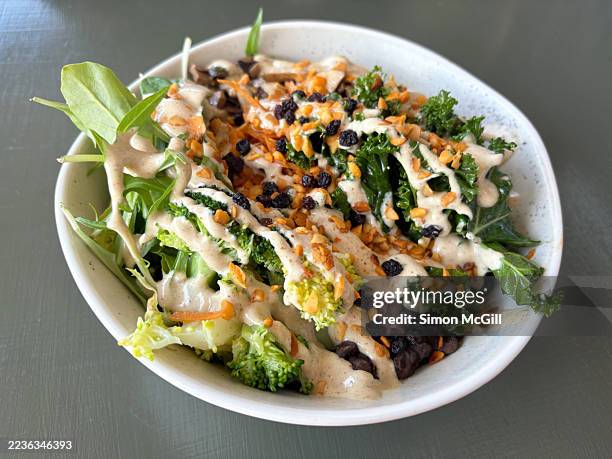 salad bowl of coconut brown rice, salad greens, adzuki beans, carrot, broccoli, kale, shiitake mushrooms, black beans, currants, garlic roasted macadamia nuts and lemon tahini dressing - tahini stock pictures, royalty-free photos & images