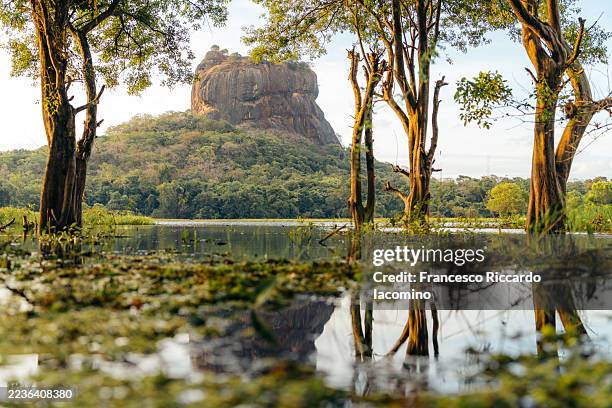 sigiriya rock fortress reflected in a lake, landscape in sri lanka - sri lanka stock pictures, royalty-free photos & images