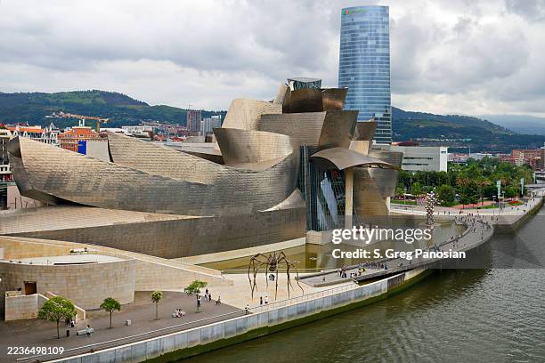 guggenheim museum in bilbao, spanish basque country - frank gehry stock pictures, royalty-free photos & images