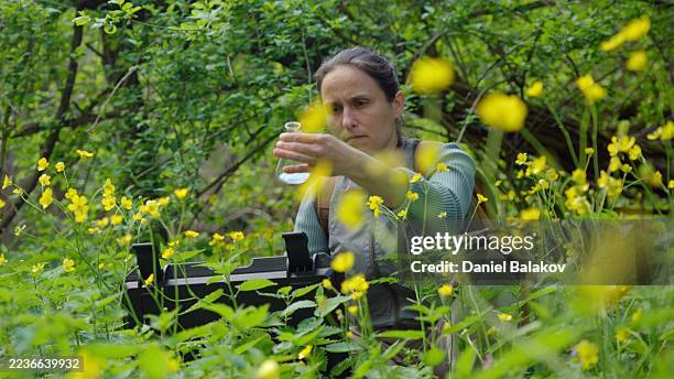biodiversität & umweltschutz. ökologe feldforschung - waldarbeiter stock-fotos und bilder