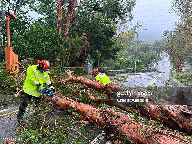 Hong Kong police remove the fallen tree from street as Super Typhoon Ragasa approaches the region in Hong Kong, China on September 24, 2025. Hong...