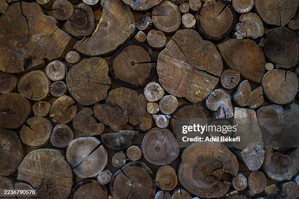 6,752 Log Texture Stock Photos, High-Res Pictures, and Images - Getty ...