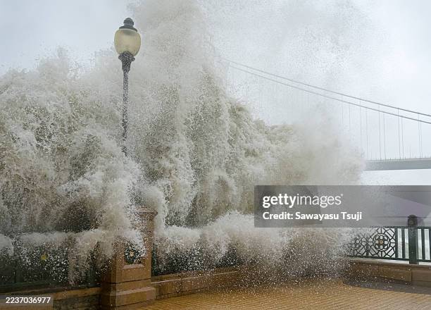 Signals Ragasa 860 fotos e imagens de alta resolução de Ragasa - Getty Images