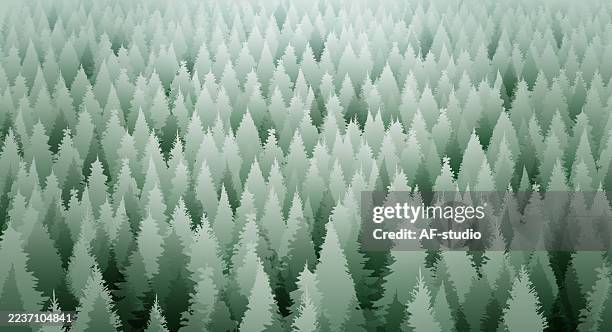 pine forest background with layers and global colors - pine tree forest stock illustrations