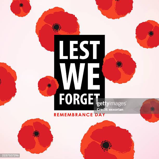 remembrance day red poppies - anzac day stock illustrations