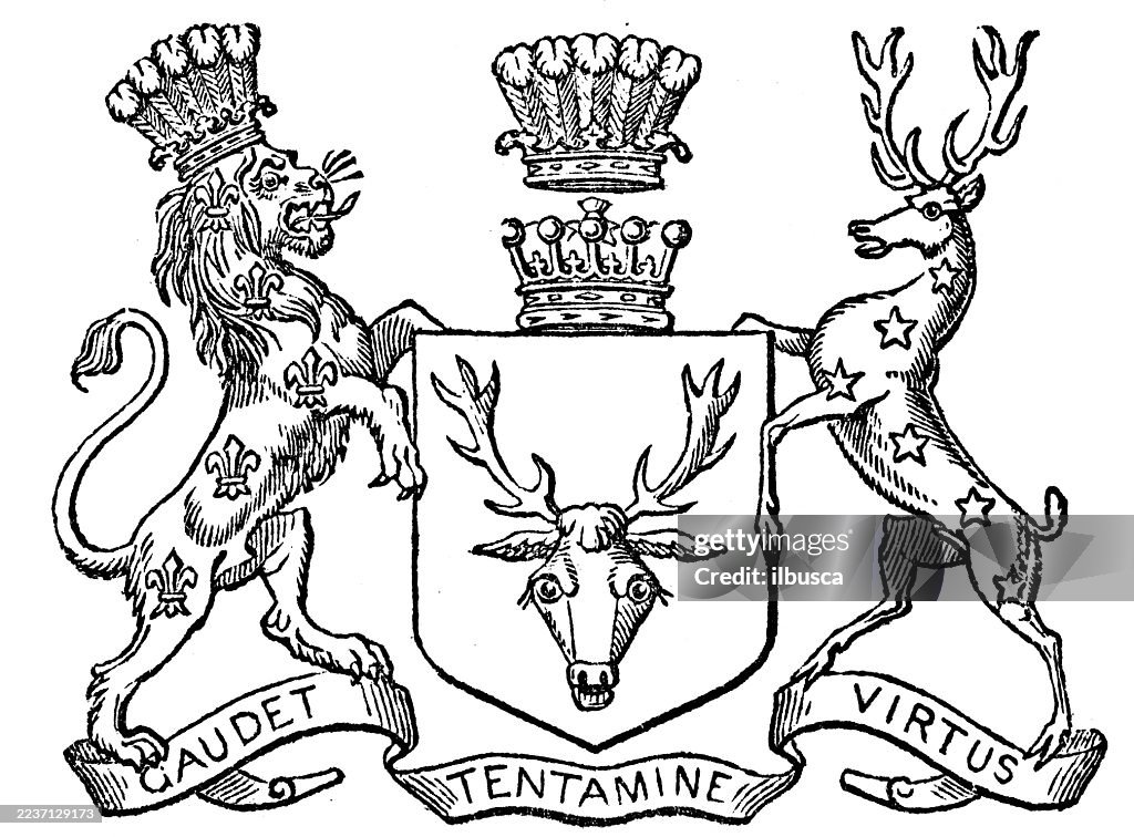 Stemma araldico: Conte di Dartmouth