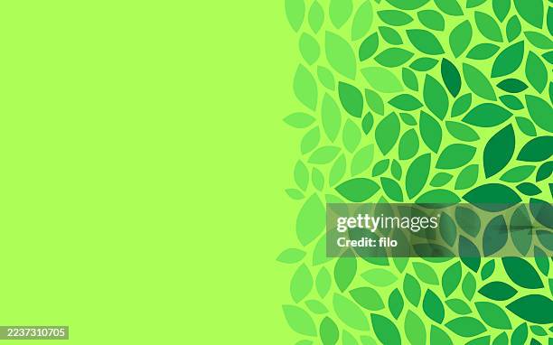 illustrations, cliparts, dessins animés et icônes de feuilles vertes croissance bord fond - motif feuillage