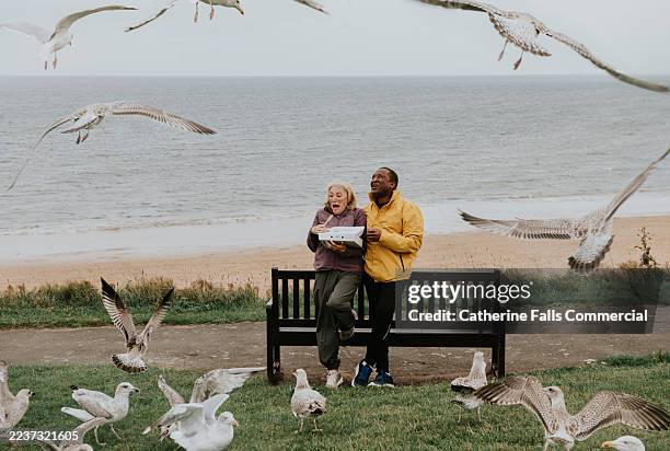 a mature couple attempt to enjoy a portion of fish and chips on the beach, only to be accosted by a multitude of cheeky seagulls - meeuw stockfoto's en -beelden