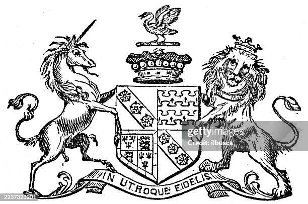 heraldry coat of arms emblem: viscount falkland - unicorn stock illustrations