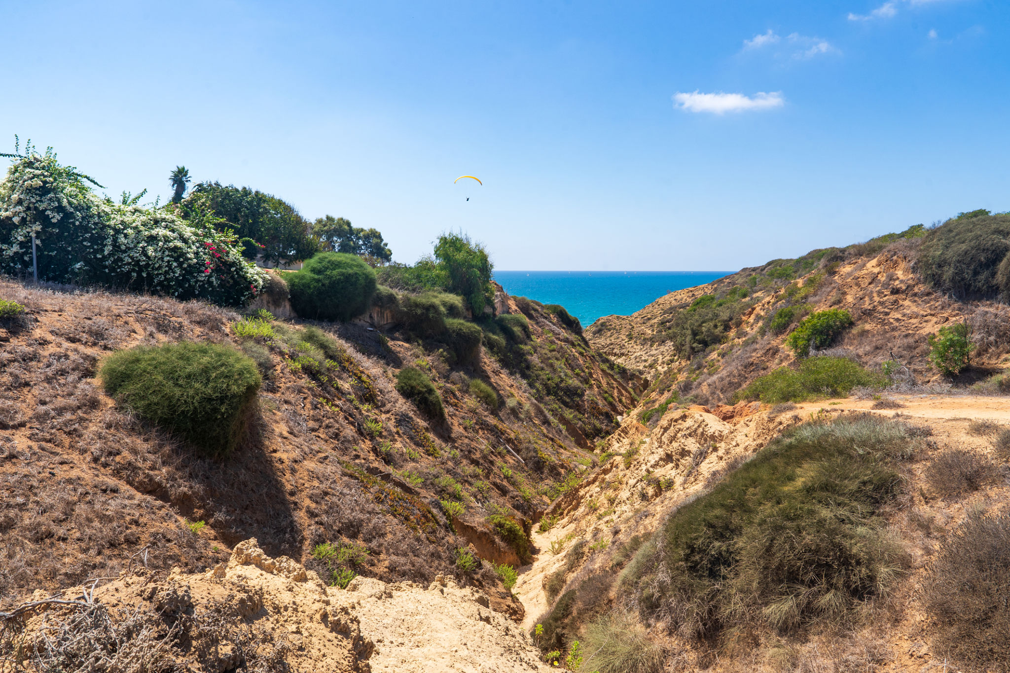 israel landscape