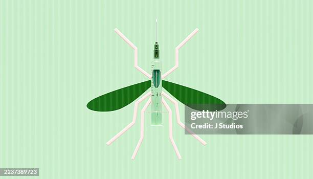 disease transmission and vaccination concept - malaria parasite stock pictures, royalty-free photos & images