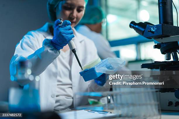 semen analysis technician pipetting in veterinary lab for quality control and herd genetics - dna test stock pictures, royalty-free photos & images
