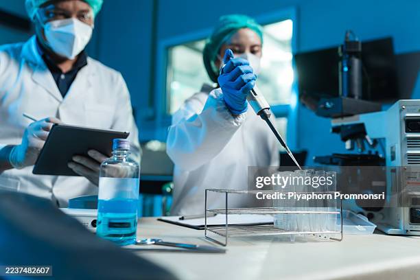 la micropipeta de la mano de los técnicos de laboratorio realiza análisis de semen de toro en el laboratorio veterinario, mientras que el colega registra los datos en tabletas, lo que garantiza un estricto control de calidad para la inseminación artific - pruebas con animales fotografías e imágenes de stock