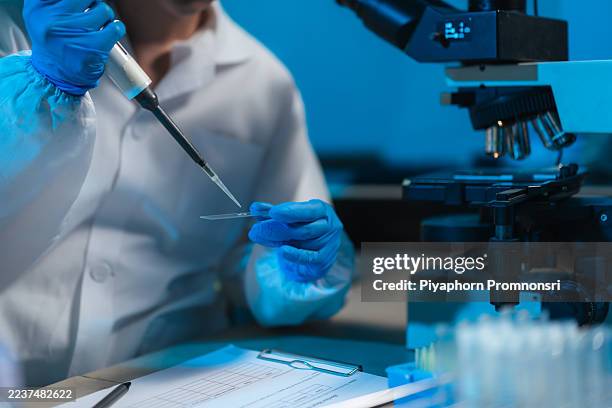 veterinary scientists prepare cattle semen samples on microscope slides using pipettes in a laboratory to evaluate bull semen quality for artificial insemination and livestock breeding. - teste de dna imagens e fotografias de stock