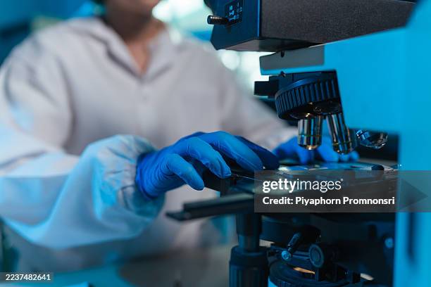 close up, a laboratory technician place cattle semen samples slide to under a microscope for analyze bull semen quality in veterinary lab, artificial insemination and livestock breeding programs. - biotechnology stock pictures, royalty-free photos & images