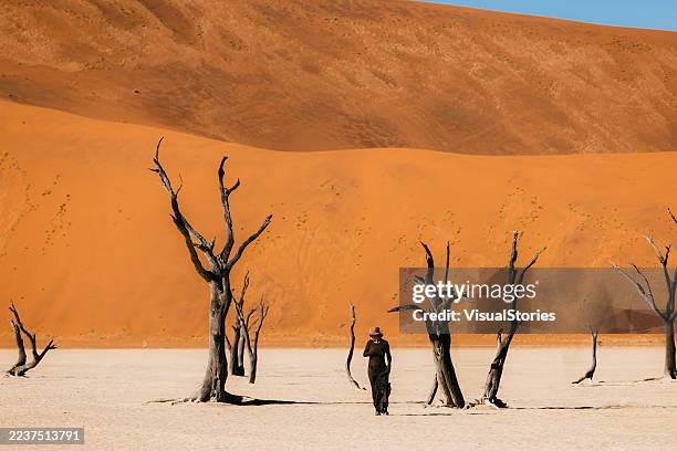awe-inspired woman in black dress and hat walking at deadvlei dried lake with dead trees in namib desert - sossusvlei stock pictures, royalty-free photos & images