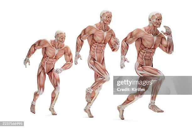 Understanding Muscle Memory: How Rest and Nutrition Boost Athletic ...