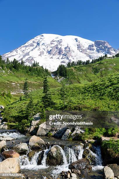 mt. rainier national park - mt rainier stock pictures, royalty-free photos & images