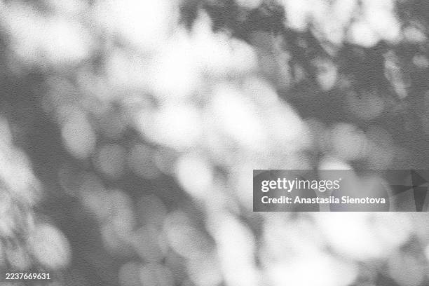 dappled light and blurry leaf shadows creating an abstract pattern on a textured wall - shadow overlay stock pictures, royalty-free photos & images