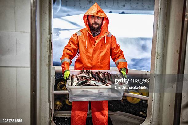 fisherman holding crate of fresh fish on boat - catch of fish stock pictures, royalty-free photos & images
