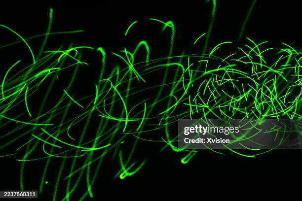 laser light luminous spirograph pattern—a complex web of perfect geometric curves and loops. - laser pointer stock pictures, royalty-free photos & images