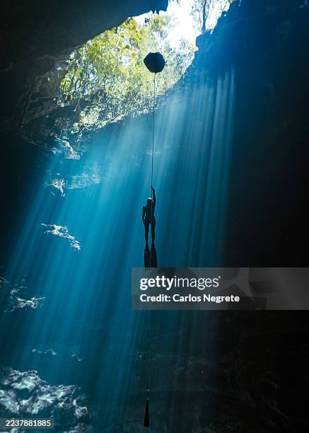 a freediver ascends in a beautiful cenote - free diving stock pictures, royalty-free photos & images