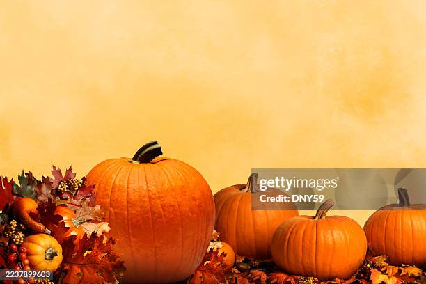 autumn harvest festival