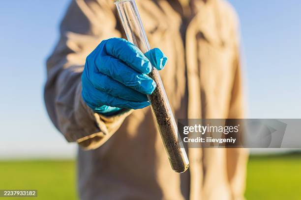 soil samples in test tube in arable field - frö bildbanksfoton och bilder