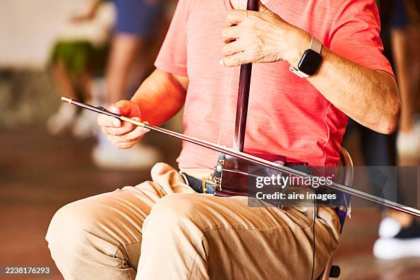 person playing traditional chinese erhu string instrument - folk fotografías e imágenes de stock